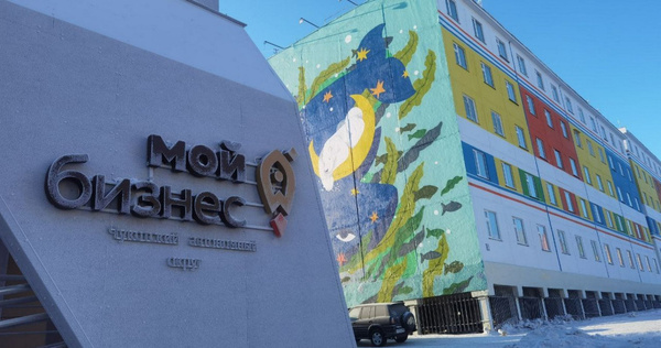 Пятнадцать предпринимателей Чукотки получат господдержку на продвижение бизнеса