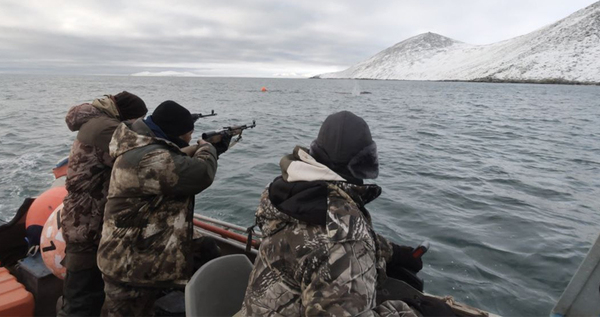 Более 90 процентов разрешенных квот на кита освоили морские охотники Чукотки