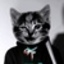 79824b3ff7ffc17107bfb1eecae75caa