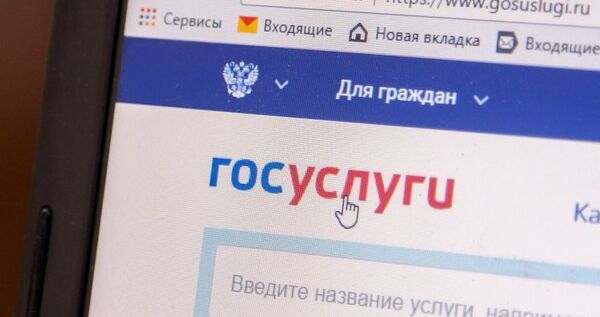 Платформу "Госуслуги. Решаем вместе" начали тестировать в Чукотском АО