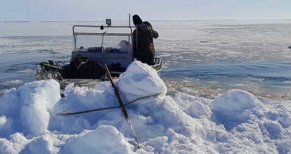 На восточной Чукотке открыли сезон охоты на морского зверя