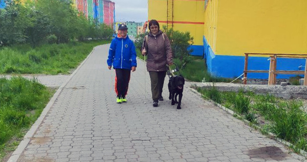 Выплату на содержание собак-проводников ввели на Чукотке