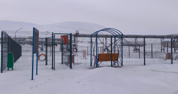 Специализированная площадка для выгула собак оборудована в Певеке