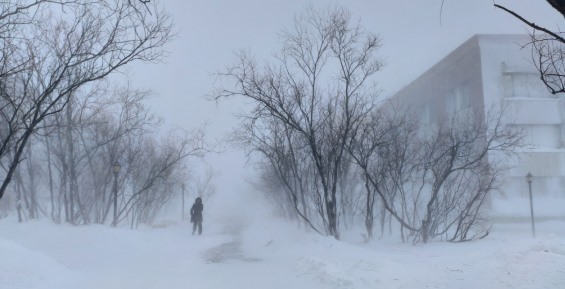 В среду на побережье Берингова моря ожидается ветер до 33 м/с