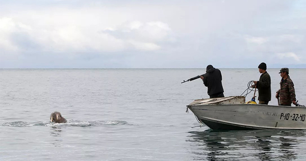 Лоринские морзверобои завершили обучение безопасному обращению с оружием